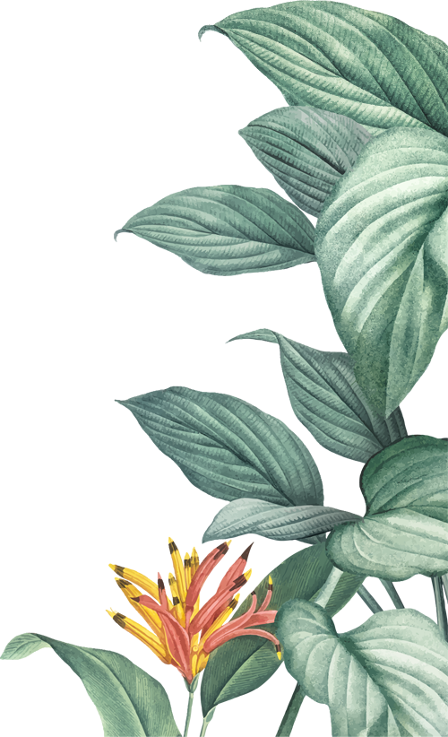 Harmonious Healing Arts