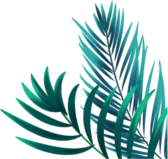 Holistic Healing Center