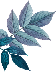 Energy Healing Studio